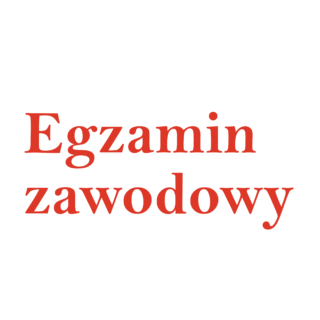 Egzamin zawodowy